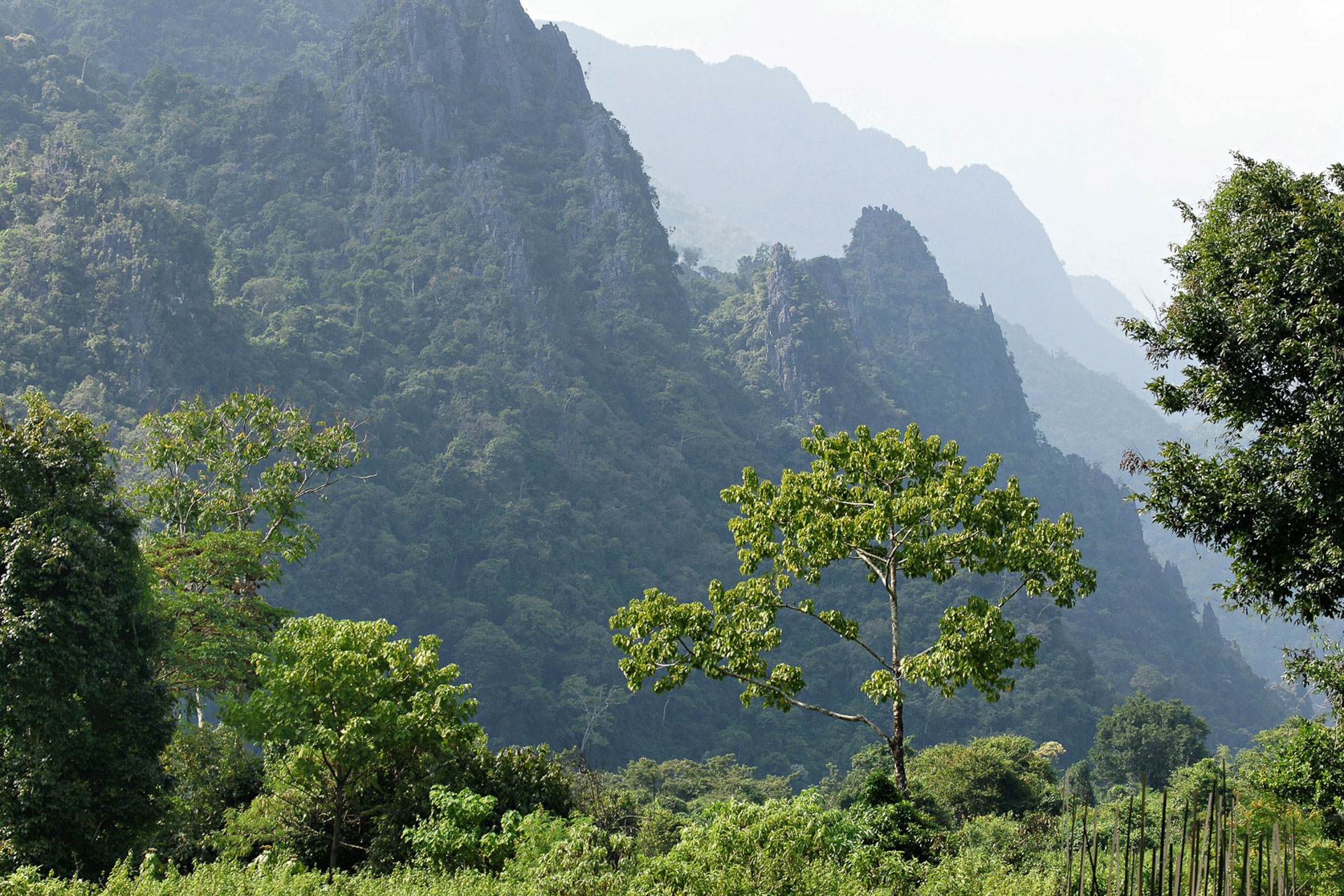 Wanderung im Norden von Vang Vieng